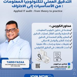 IT Audit in practice